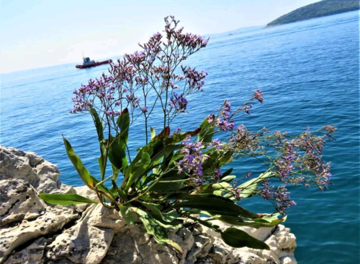 Apartment Vlatka Split Luaran gambar